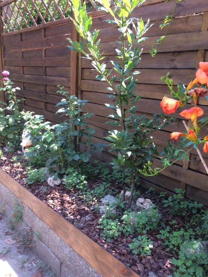 La Porta Nel Giardino Lägenhet Asti Exteriör bild