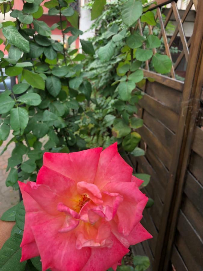 La Porta Nel Giardino Lägenhet Asti Exteriör bild